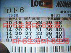 第241回当せん券