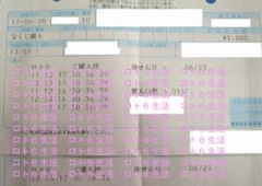第244回当せん券