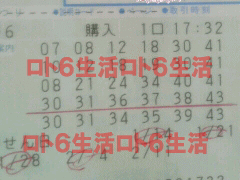 第482回当せん券