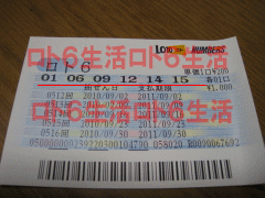第513回当せん券